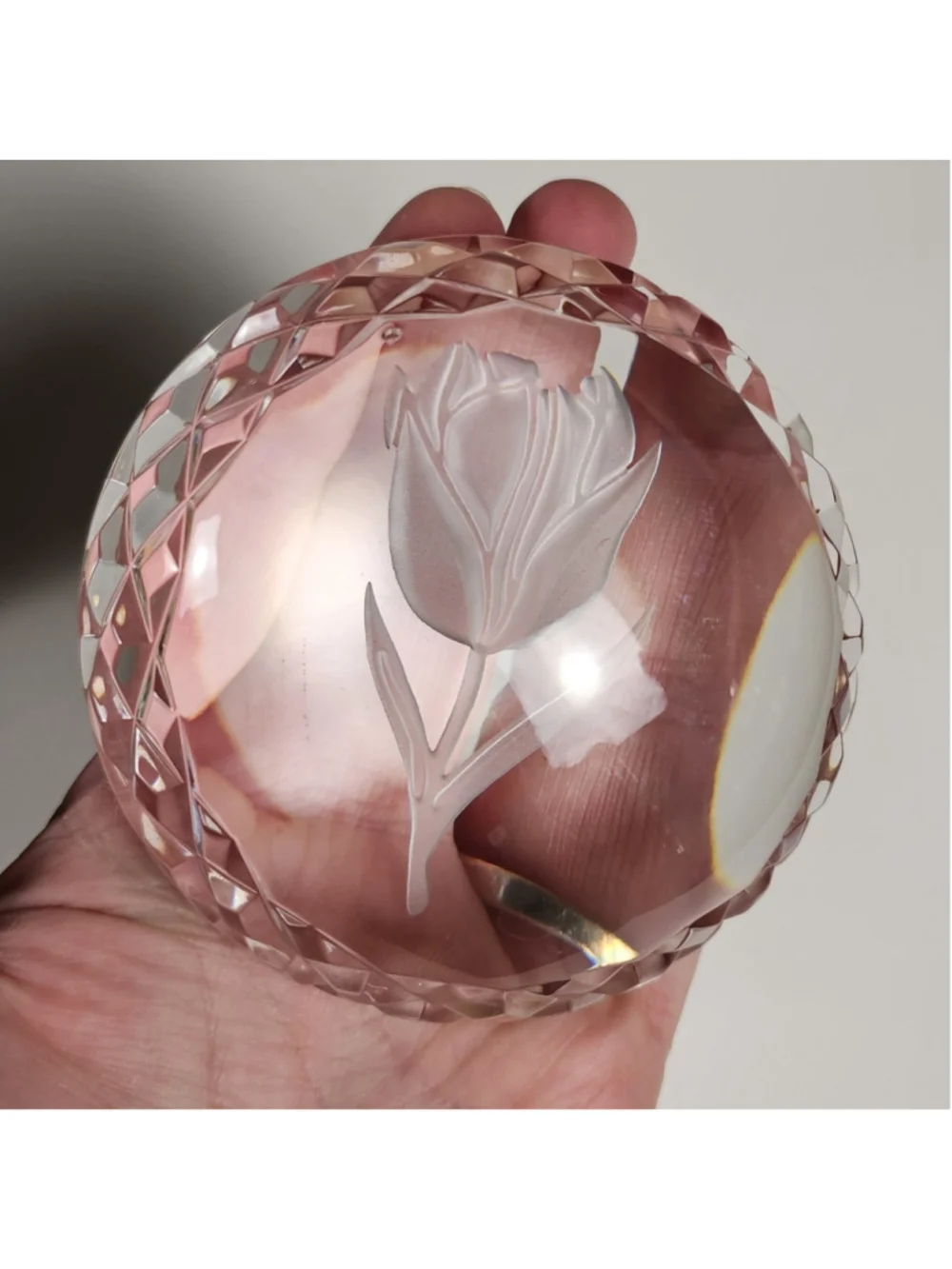 Waterford Crystal Round Domed Paperweight Frosted Intaglio Tulip Flower